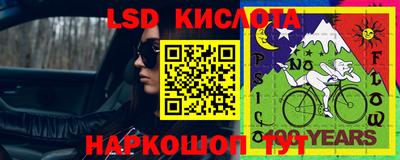 прущие грибы Ставрополь