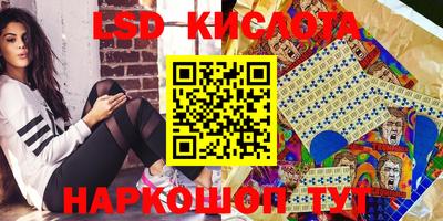 прущие грибы Ставрополь