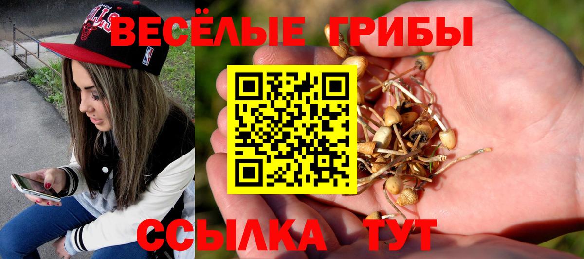 Большой Камень  наркота  Вход с VPN  Галлюциногенные грибы Cubensis  Галлюциногенные грибы ЛСД 