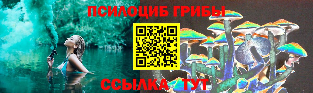 Псилоцибиновые грибы ЛСД Большой Камень